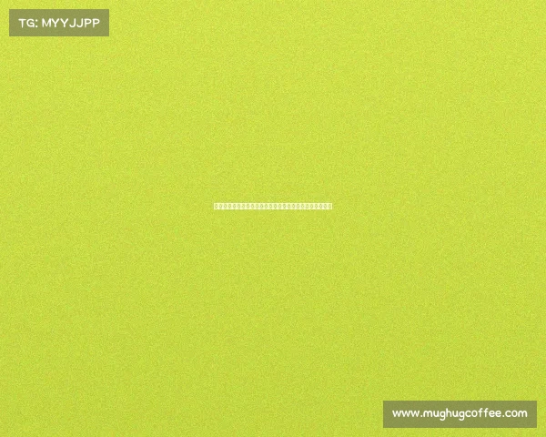 西甲高位压迫战术解析及其对现代足球攻防体系的深远影响